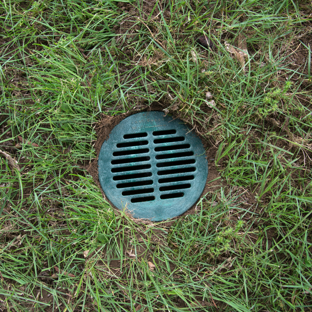 Green drain cover in a grassy area