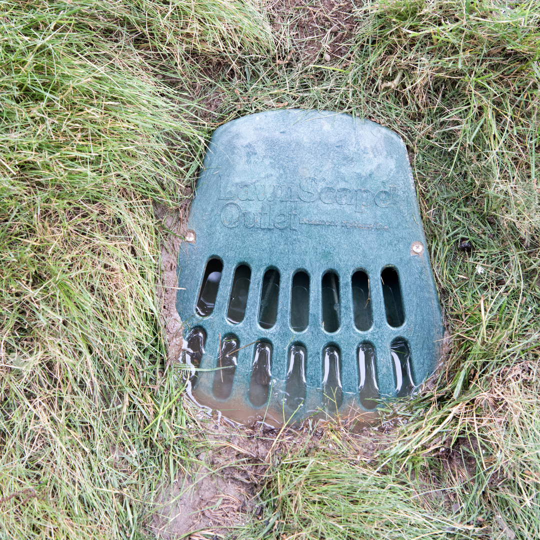 Grass-covered area with a plastic drain cover